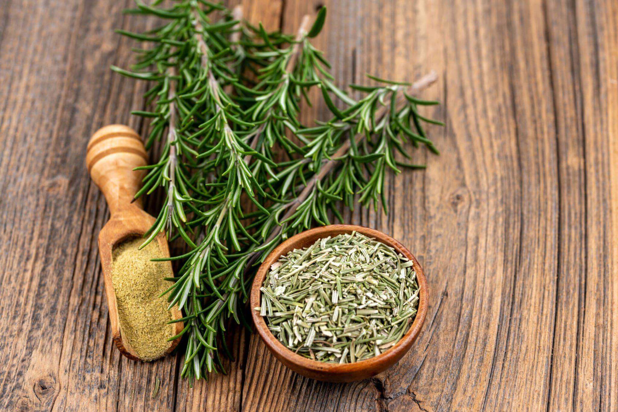 premiumherbs-Rosemary-2