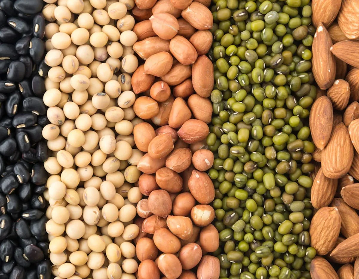 Vegetable_Seed